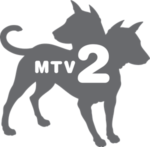 MTV2 Logo - MTV2 Logo Vector (.AI) Free Download