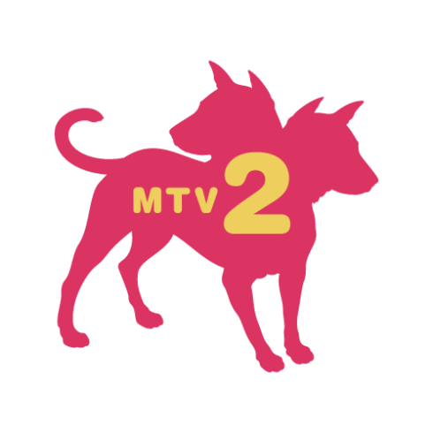 MTV2 Logo - MTV2