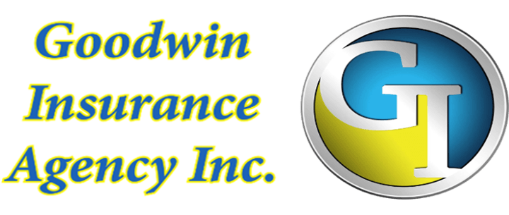 Umbrella Insurance Company with Logo - Umbrella Insurance - Goodwin Insurance