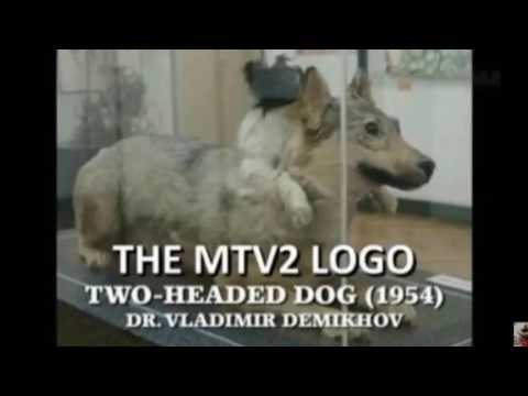 MTV2 Logo - THE OCCULT ORIGIN OF THE MTV2 LOGO by @AP-Beats.NET - YouTube
