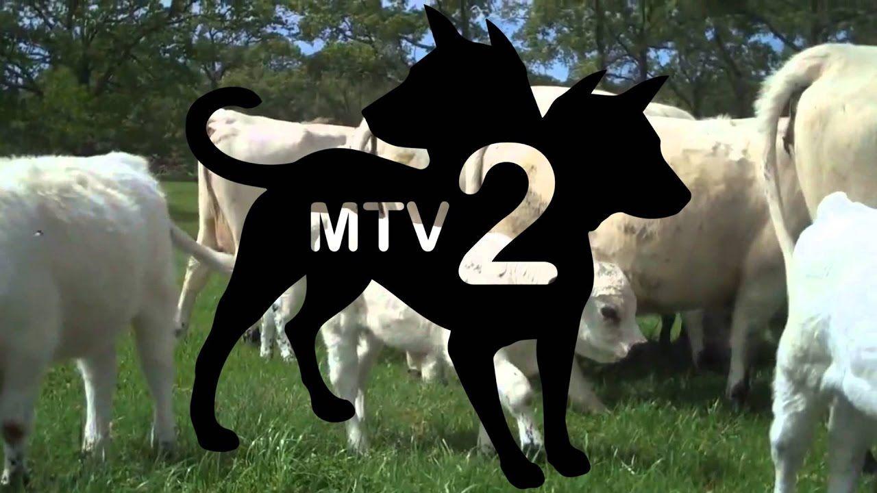 MTV2 Logo - THE OCCULT ORIGIN OF THE MTV2 LOGO BY @AP Beats.NET