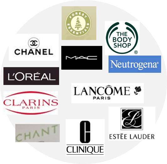 Makeup Cosmetic Brand Logo - The Shopping Experience: Premium Cosmetics & Skincare |