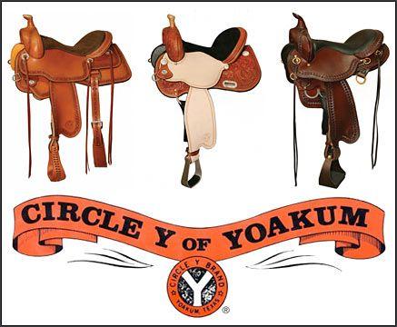 Circle Y Logo - Show Equine Professional Company