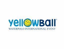 Yellow Ball Logo - Yellow Ball - WATERPOLO PEOPLE - Proporre e collaborare