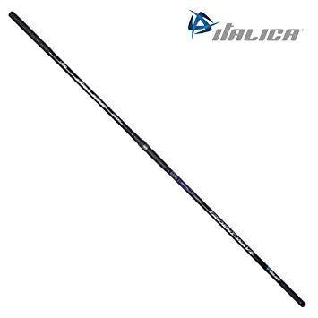 Trident Wave Logo - rod Italica Trident Wave 4.50 mt 170 gr: Amazon.co.uk: Sports & Outdoors