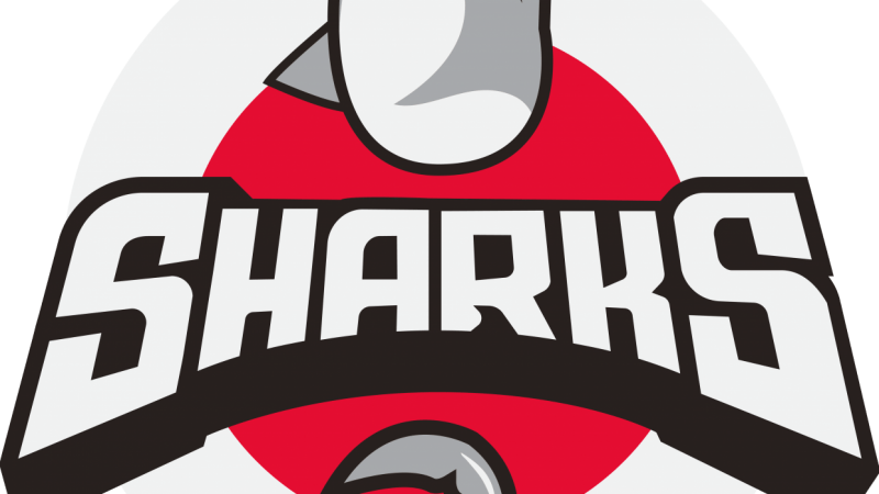 Basketball Team Logo - Sharks Basketball Team Logo | Skillshare Projects