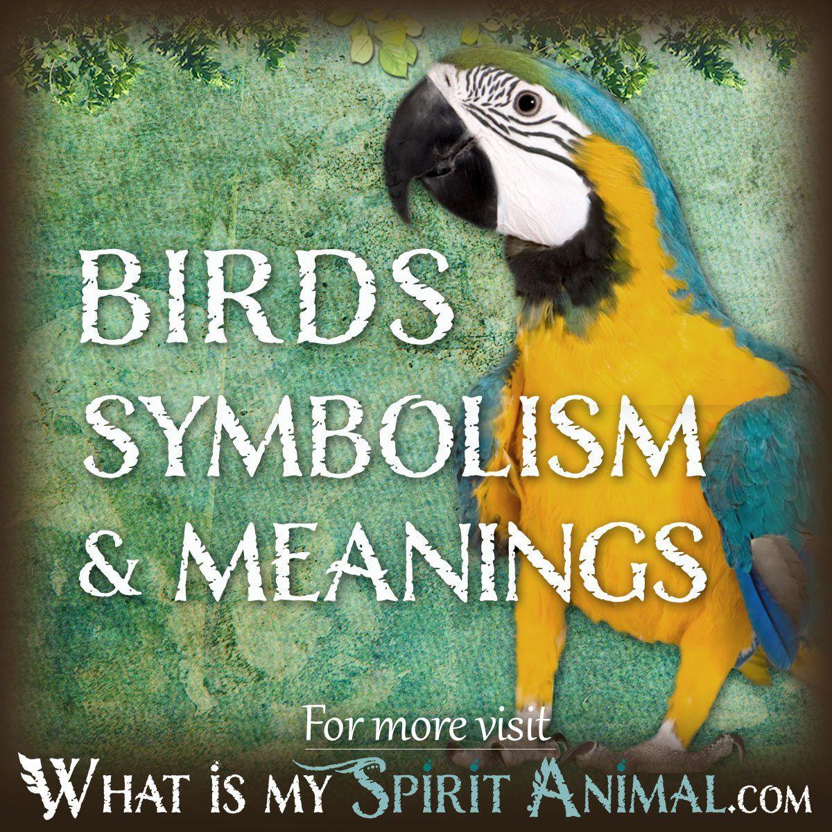 Yellow Bird with Red Circle Logo - Bird Symbolism & Meaning | Spirit, Totem, & Power Animal