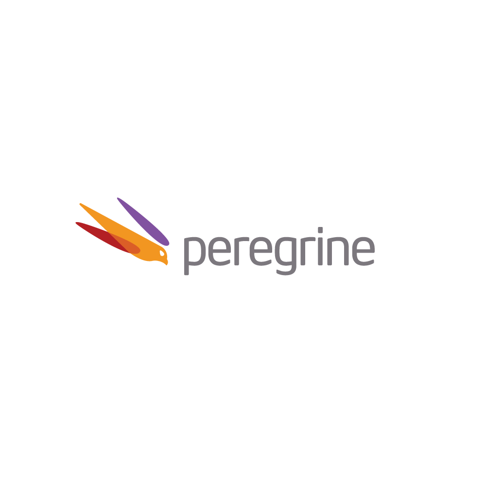 Sleek Travel Logo - SOLD: Peregrine Falcon Logo Design | Logo Cowboy