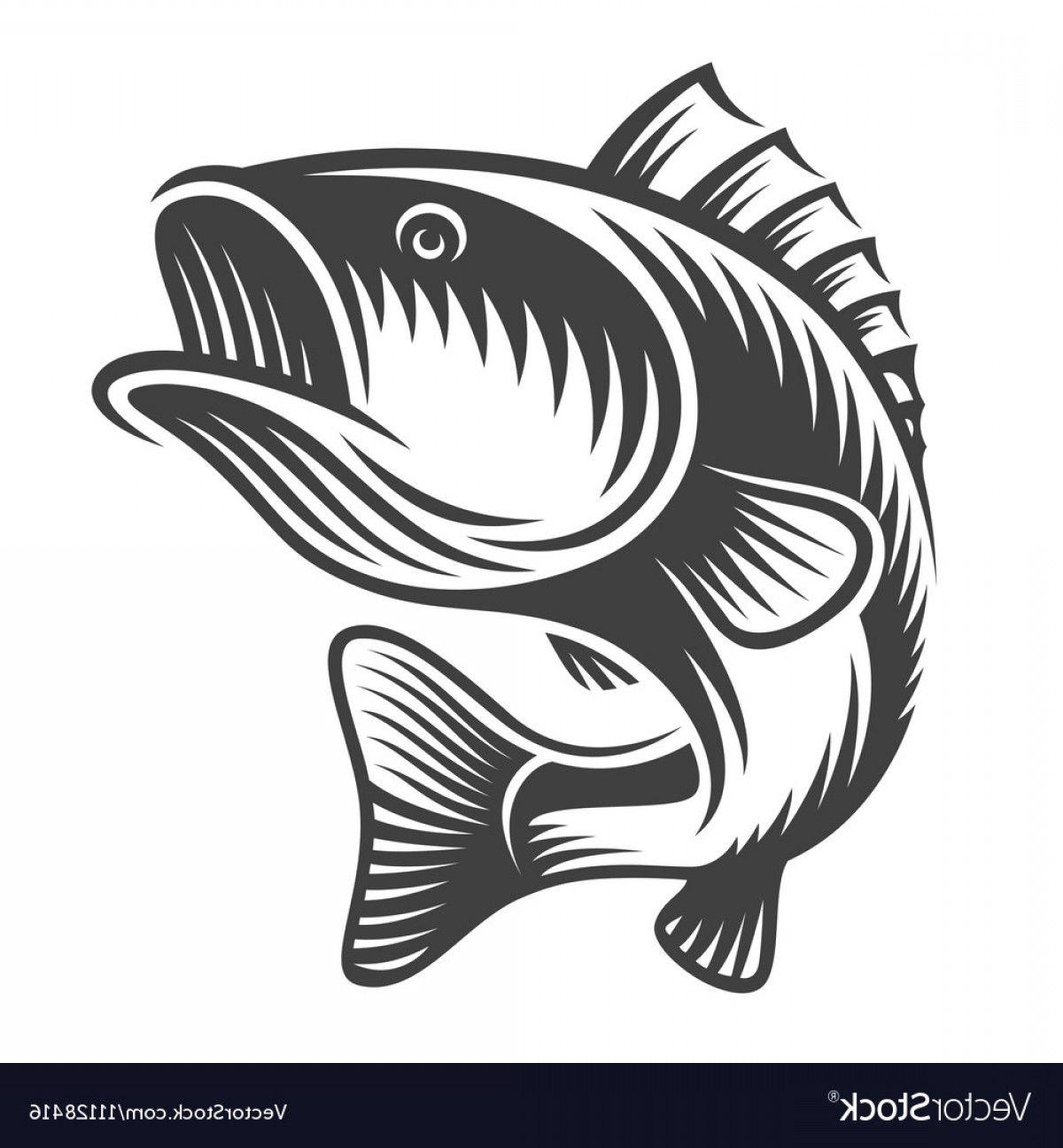 Black Bass Logo - Monochrome Fish Bass Logo Vector | SOIDERGI
