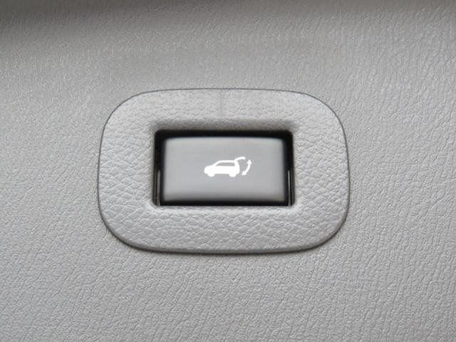 Cool SV Logo - 2019 Nissan Armada SV | Franklin, TN