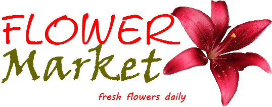 Fresh Flower Logo - Home Market Nelspruit