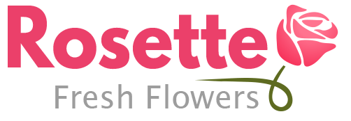 Fresh Flower Logo - Rosette Fresh Flowers. The Best Cebu Based Flower ShopRosette Fresh