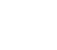 Fresh Flower Logo - Simply Modern Flowers from The Fresh Flower Market in Aurora CO- We ...