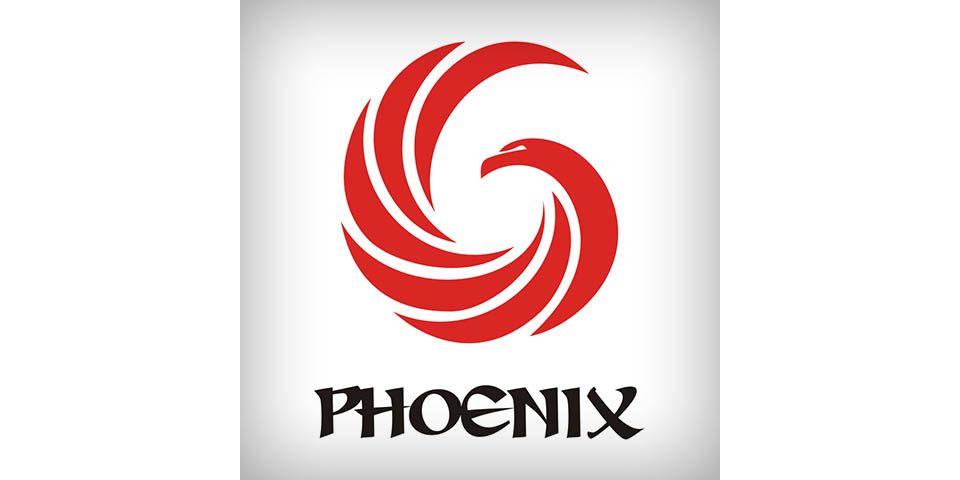 6 Logo - AIESEC Ireland's “Phoenix 6” Team Logo | Tudor Bercea