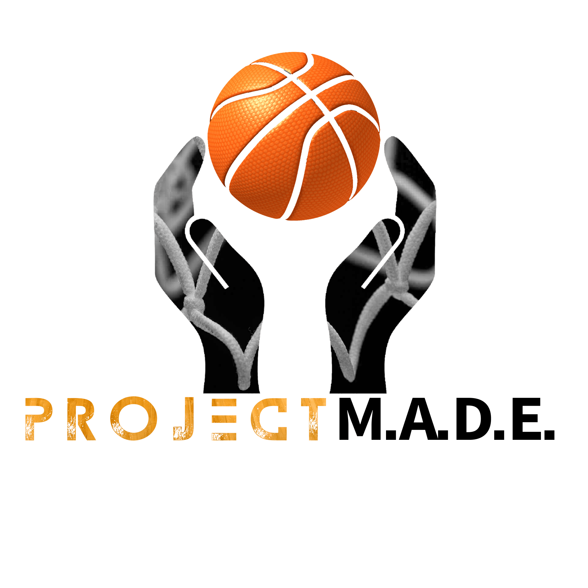 Basketball with Hands Logo - About Us – Project Made