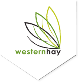 Hay Company Logo - Western Hay