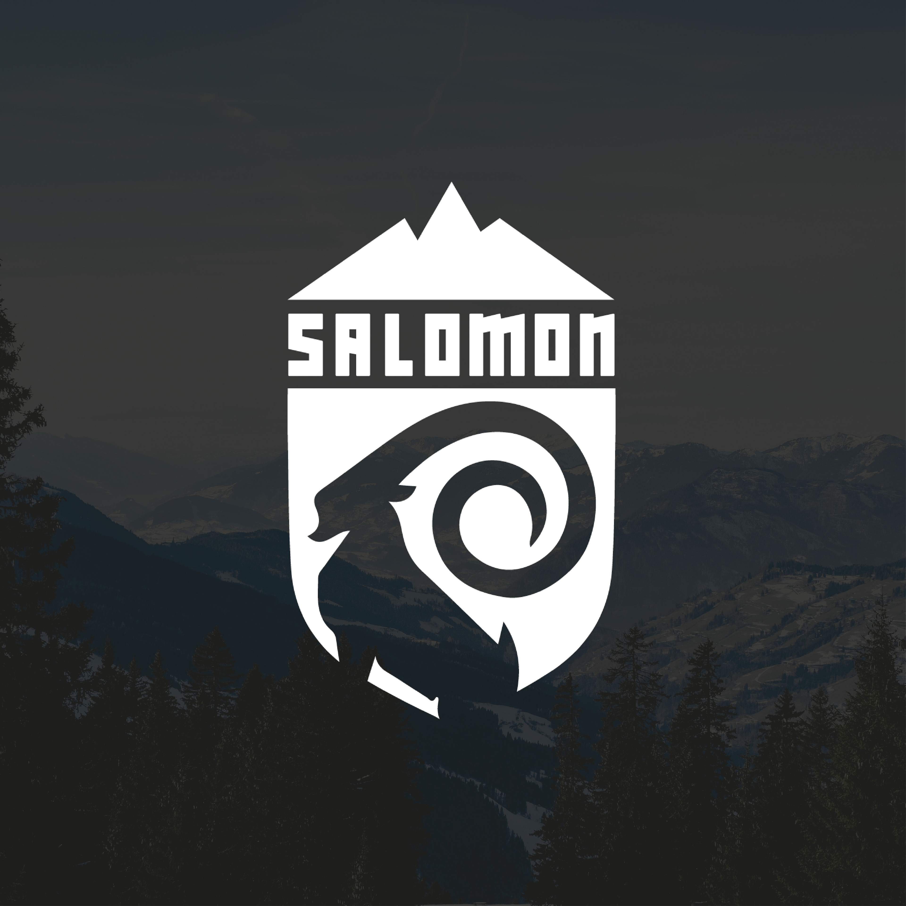 Salomon Logo - Bryan CHAUMINE - Salomon Logo rebuilt 2017 #project