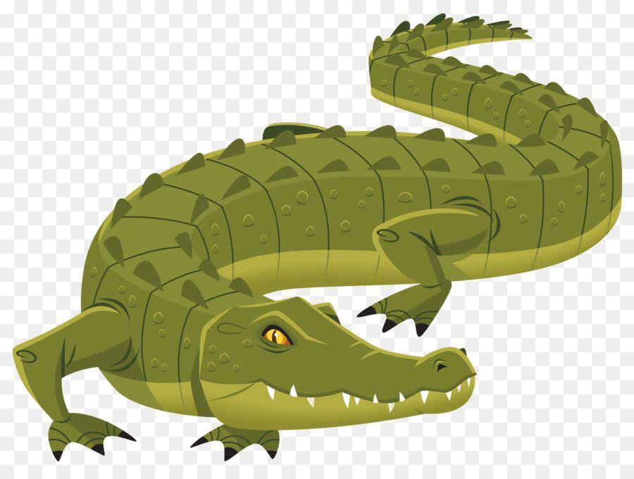 Alligator Logo - Nile crocodile Alligator Logo - crocodile png download - 1892*1412 ...