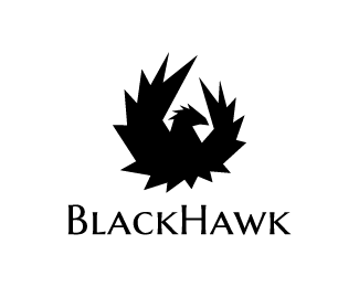 Black Hawk Bird Logo Logodix