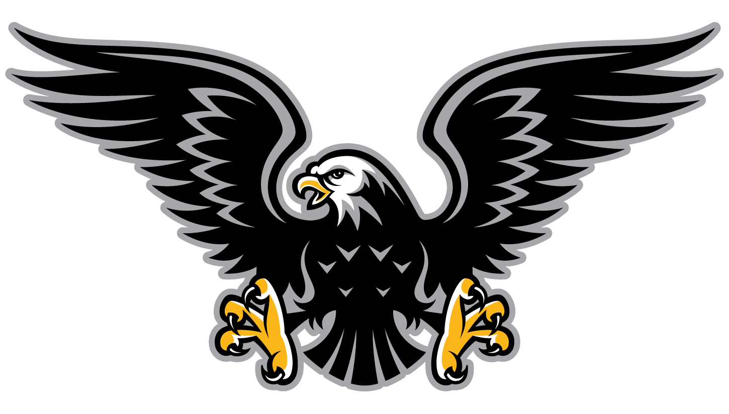 Black Hawk Bird Logo - Black Hawk Mascot
