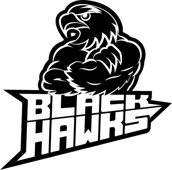 Black Hawk Bird Logo - LogoDix