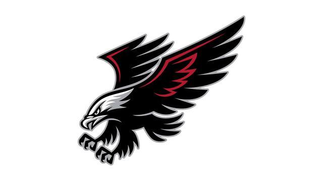 Black Hawk Bird Logo - Black bird Logos
