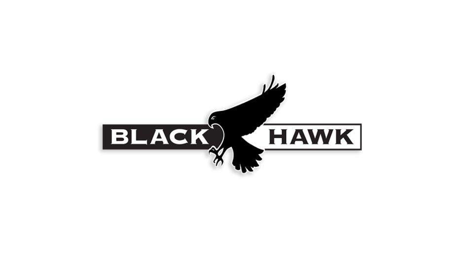 Black Hawk Bird Logo - hawk logo design logo design black hawk dogs of designdogs of design