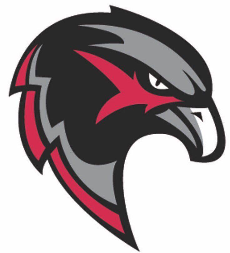 Black Hawk Bird Logo - LogoDix