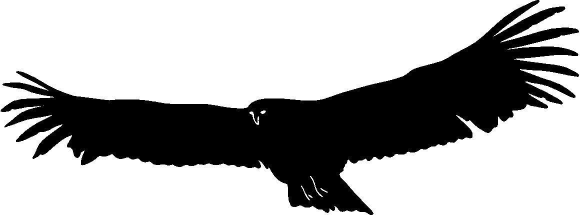Black Hawk Bird Logo - Hawk Bird Birds Animal Animals Vinyl Decal Sticker, bird decals ...