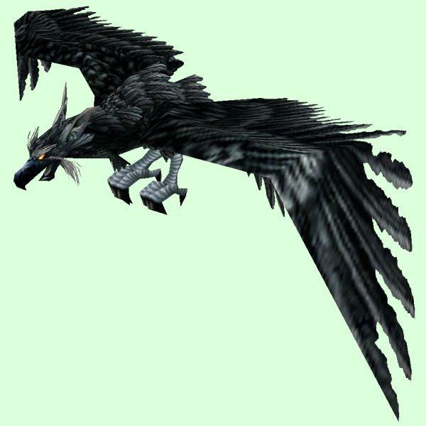 Black Hawk Bird Logo - Petopia: Black Hawk