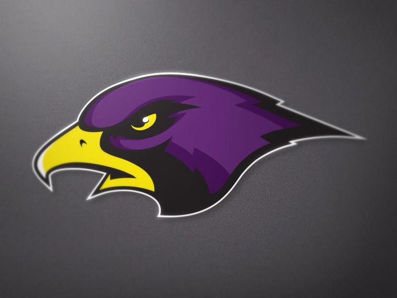 Purple Hawk Logo - Hawk Logo by Mike Delsing | Dribbble | Dribbble
