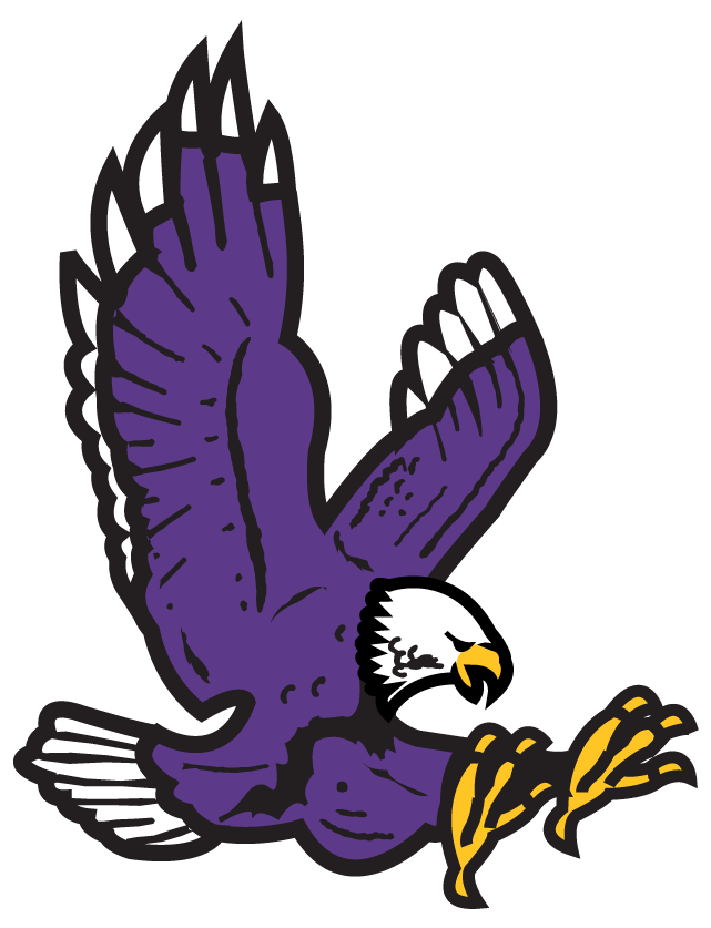 Purple Hawk Logo - Purple Hawk Temporary Tattoo in 24 Hours!