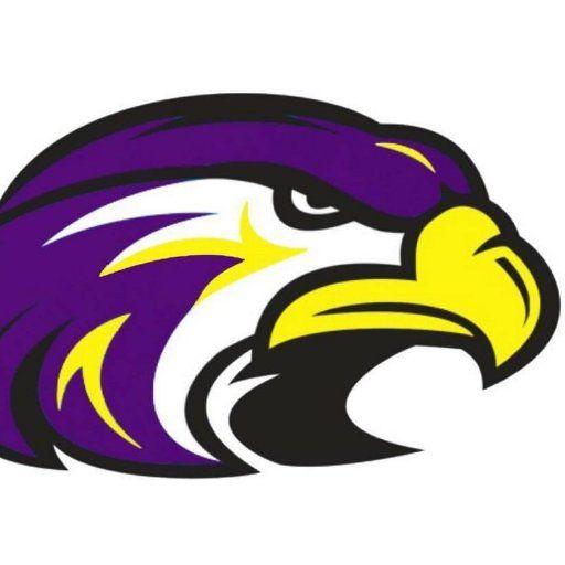 Purple Hawk Logo - Golden Hawks Club (@GoldenHawksClub) | Twitter