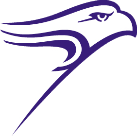 Purple Hawk Logo - Destiny Hawk PR145GM