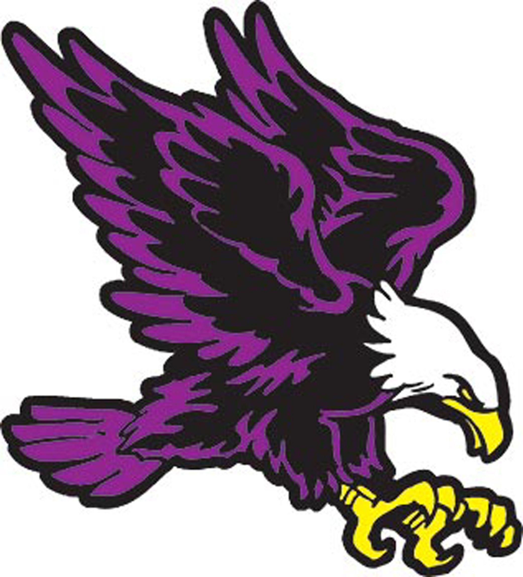Purple Hawk Logo - MascotDB.com