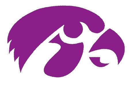 Purple Hawk Logo - BuyEventPhotos.com | 423-506-7561