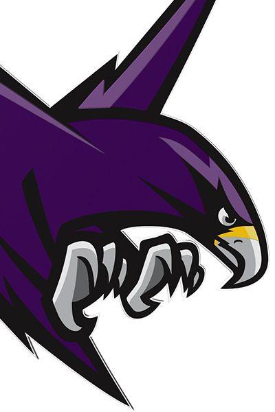 Purple Hawk Logo - Men's Soccer: MC Raptors vs. CSM Hawks on Livestream