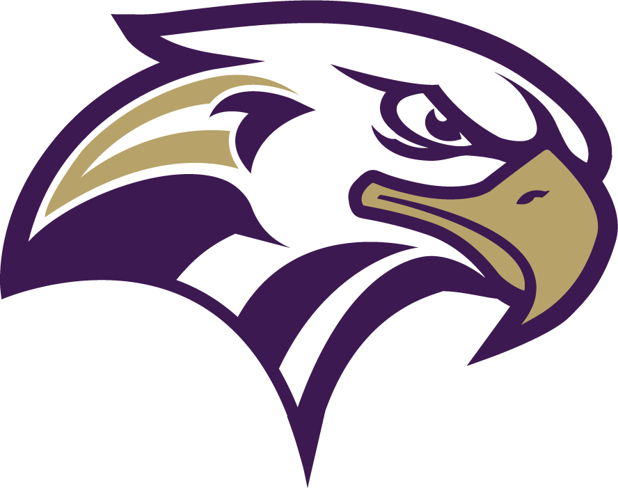 Purple Hawk Logo - Pin by brandon lamarche on adobe | Logos, Sports logo, Logo design
