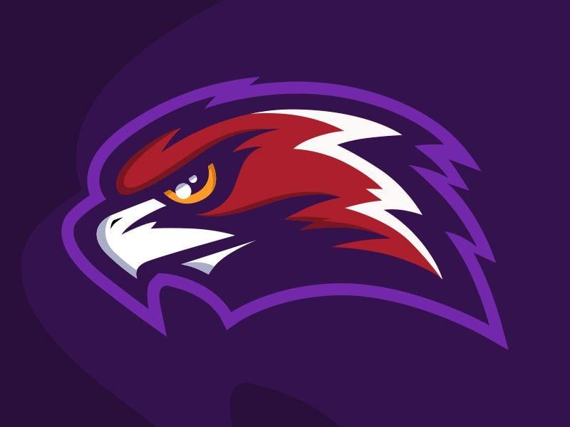 Purple Hawk Logo - Hawk logo mascot
