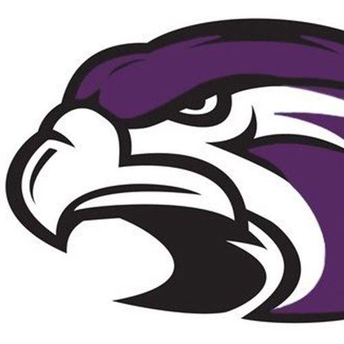 Purple Hawk Logo - Annuar Ali