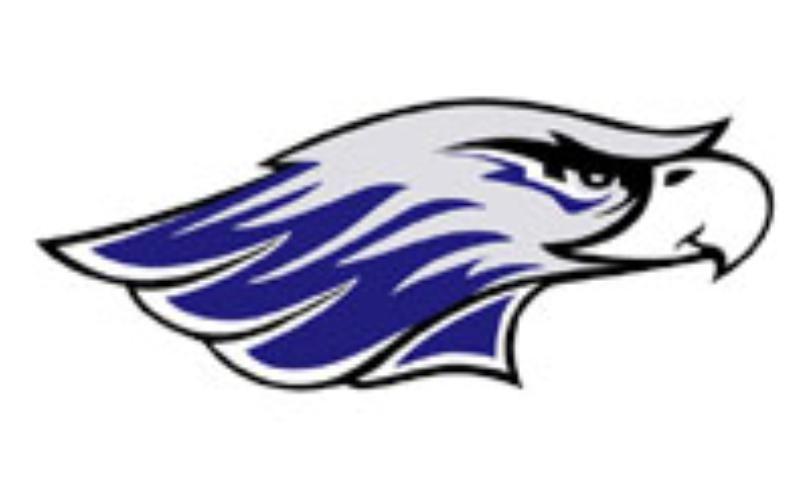 Purple Hawk Logo - UW Whitewater Football To Host NCAA First Round Game