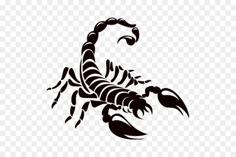 White Scorpion Logo - Scorpion Logo Drawing png download