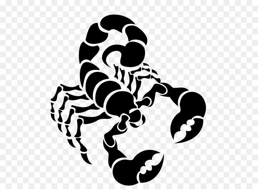 White Scorpion Logo - Scorpion Euclidean vector Clip art png download