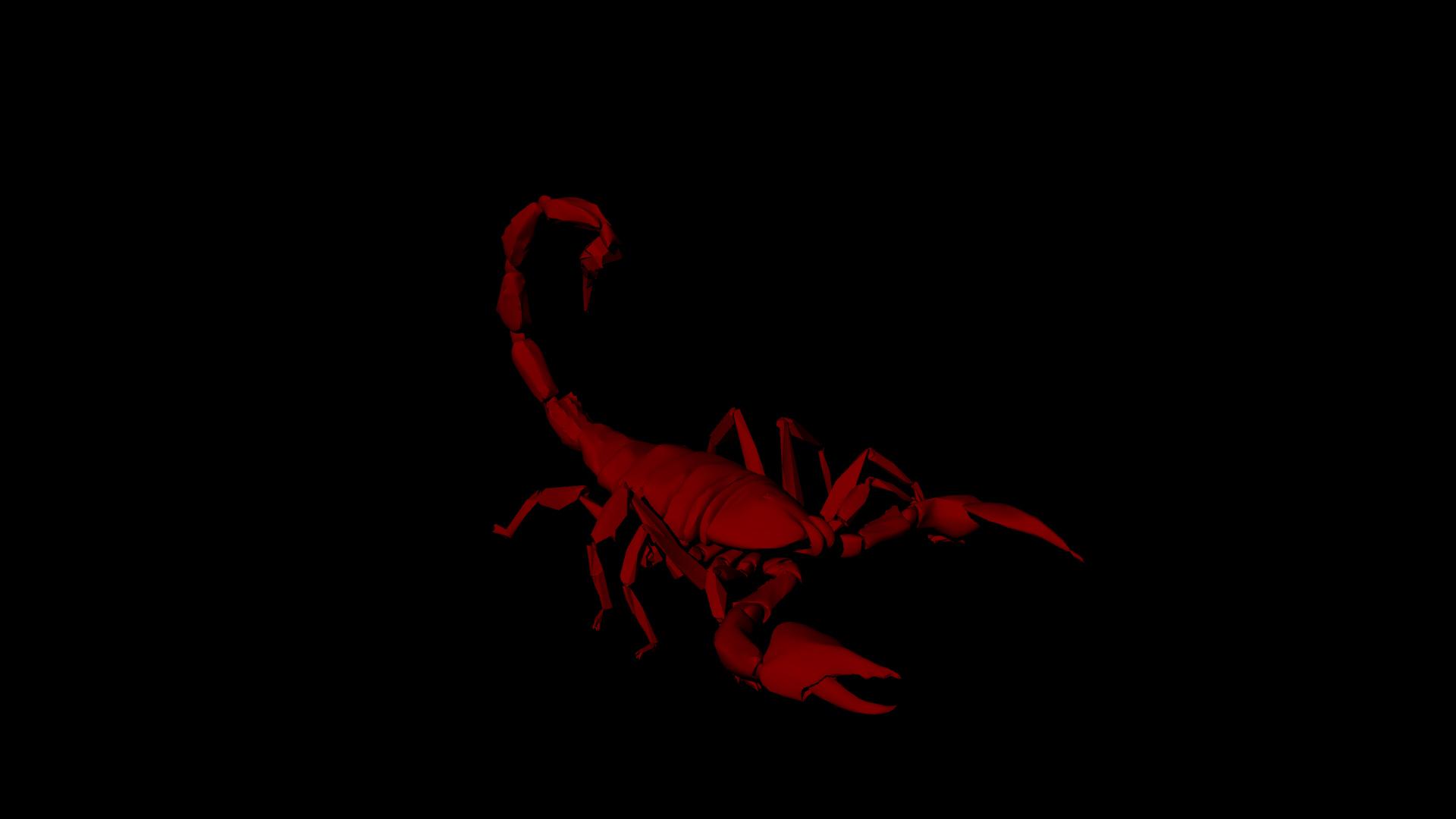 White Scorpion Logo - Index Of Image More..scorpion Logo