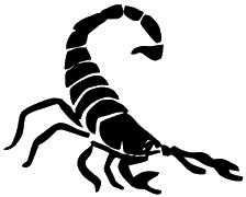 White Scorpion Logo - Scunthorpe Scorpions