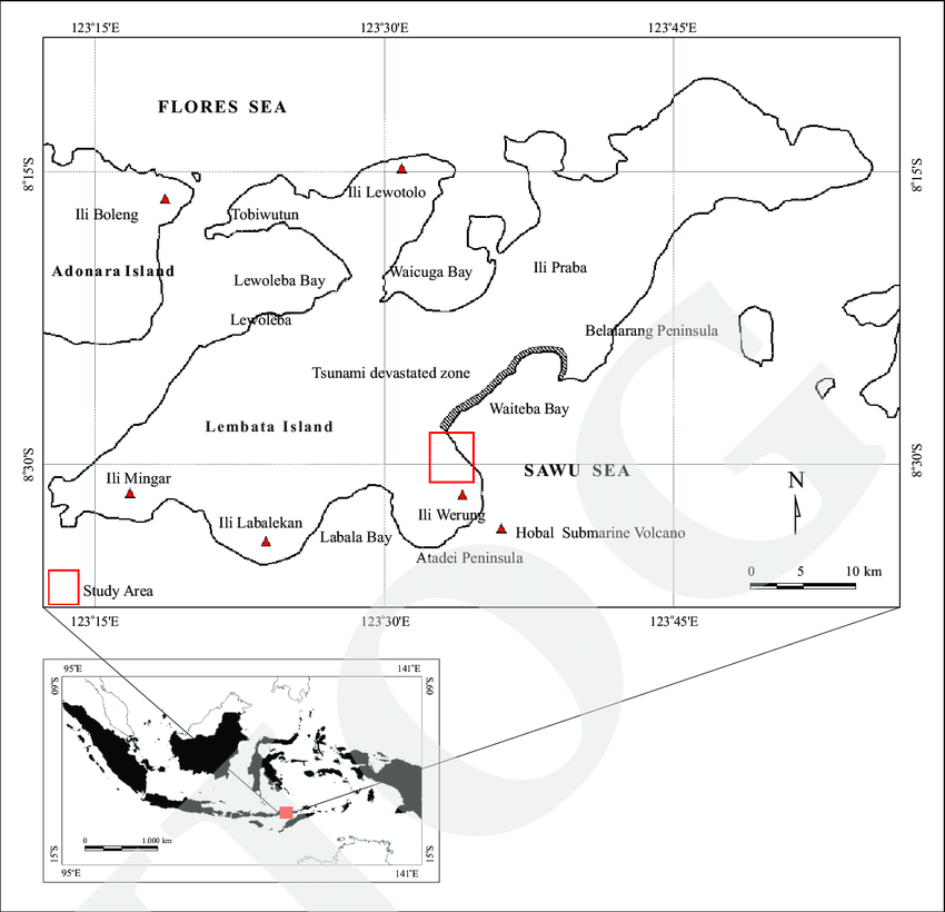 Square White with Red Triangle Logo - Top: Lembata Island showing active volcanoes (red triangle), study