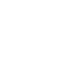Record Company Logo - The Record Company
