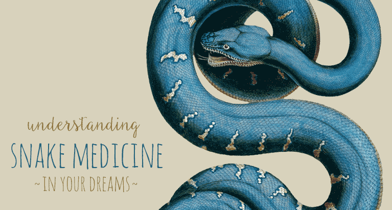 Simple Snake Logo - Snake Dreams and their Hidden Meaning – The DreamTribe