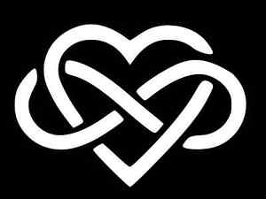 Heart Infinity Logo - HEART INFINITY SYMBOL Vinyl Decal Car Wall Window Sticker CHOOSE ...