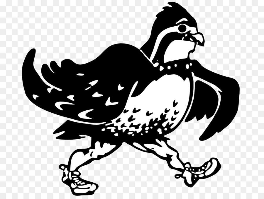 Chicken Bird Logo - Quail Phasianidae Chicken Bird Logo png download*1920